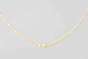 15.5" 14k White Gold Diamond Clasp Pearl Necklace (5.61g.)