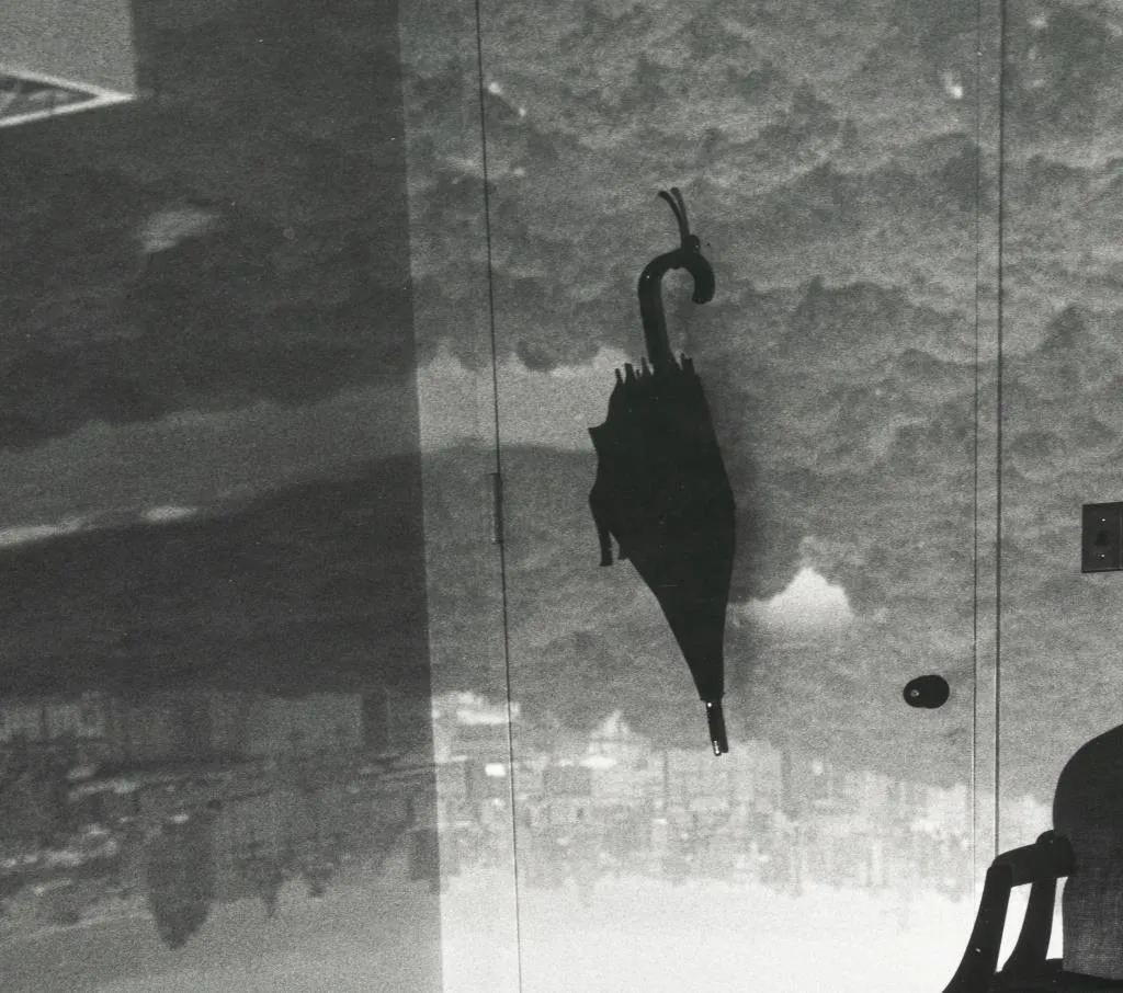 Abelardo Morell "Central Park..." Gelatin Print