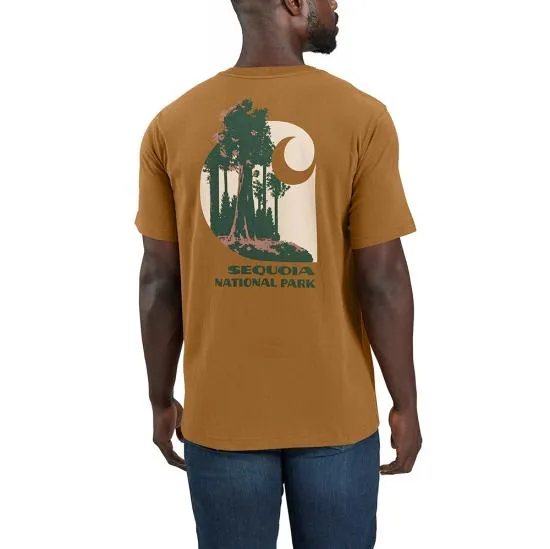 Carhartt Men's Relaxed Fit Heavyweight National Park Graphic T-Shirt