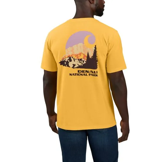 Carhartt Men's Relaxed Fit Heavyweight National Park Graphic T-Shirt