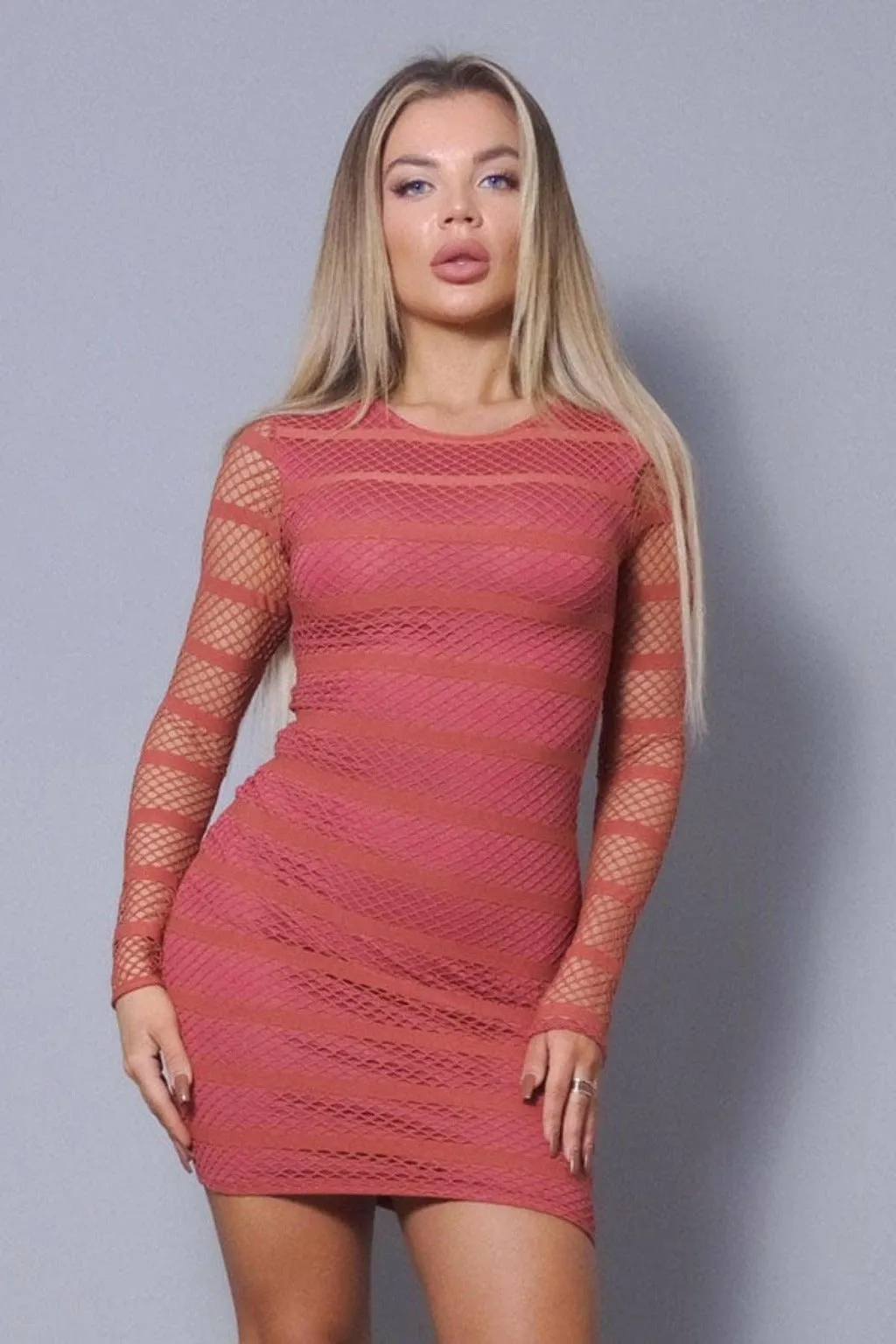 See Through Me Sexy Mesh Mini Dress