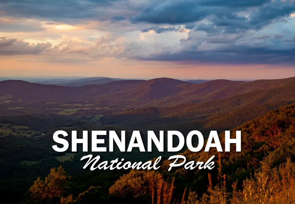 Shenandoah National Park 2"x3" Photo Magnet - Hogback Overlook