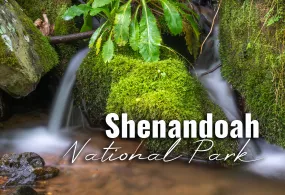 Shenandoah National Park Spring Waterfalls 2"x3" Photo Magnet