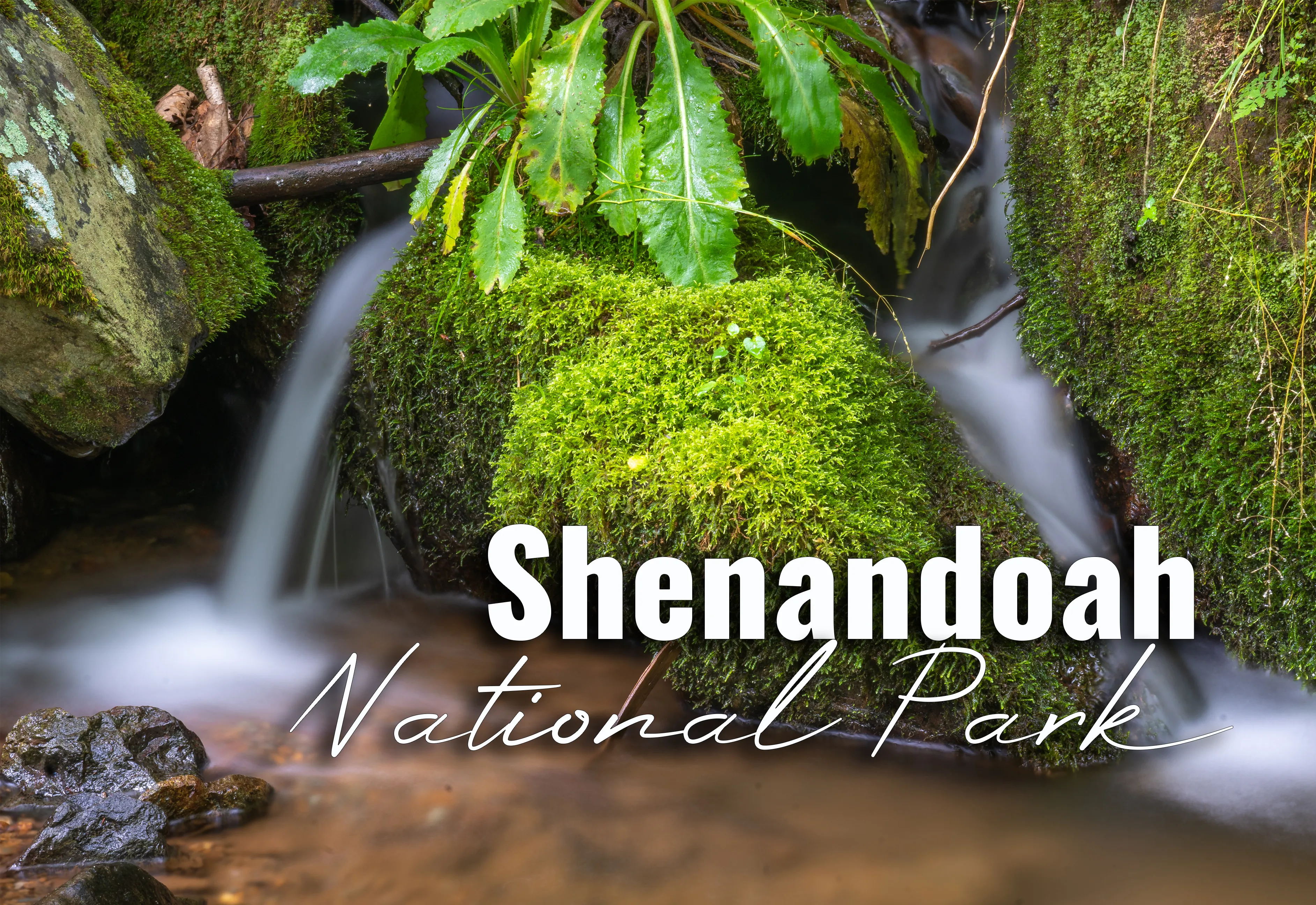 Shenandoah National Park Spring Waterfalls 2"x3" Photo Magnet